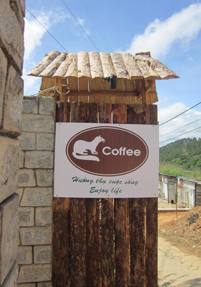 Cận cảnh trang trại cà phê chồn 42 tỷ ở Đà Lạt